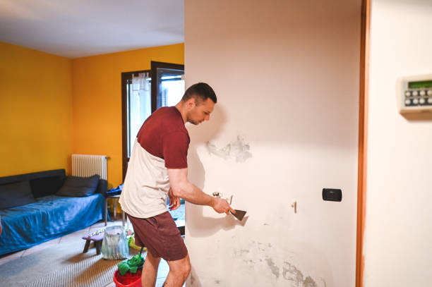 Reliable Beverly Hills, MI Mold Removal Solutions